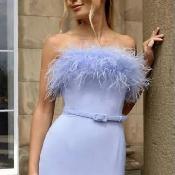NADINE MERABI Strapless Blue Feather Dress - Picture 2 of 5